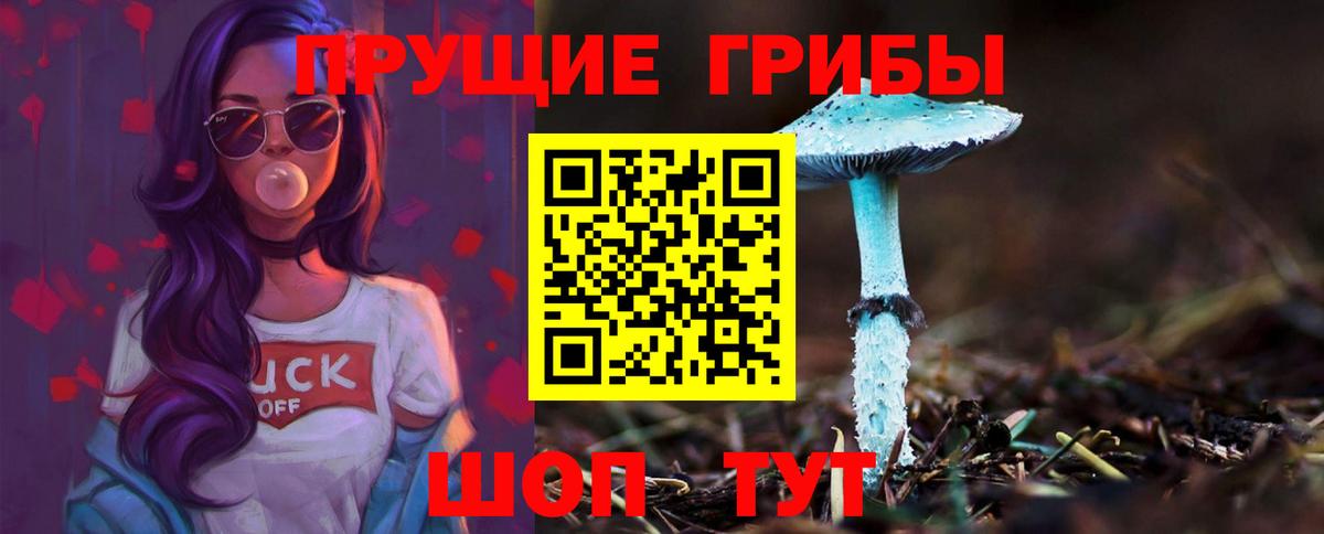 Псилоцибиновые грибы Psilocybe  Вход с VPN  Кунгур  Псилоцибиновые грибы мухоморы 